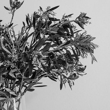 Sea View Casa Appartement Naxos City Buitenkant foto